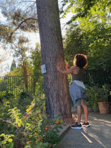Sophro-Balade au Parc Borély